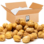 Bulk Hazelnuts / Filberts | Blanched | Dry-Roasted | 25lbs